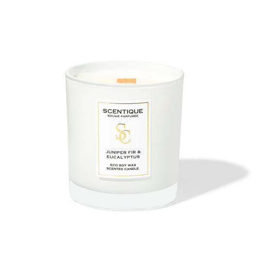 aromatni sveshti s darven fitil Maison Scentique JUNIPER FIR and Eucalyptus