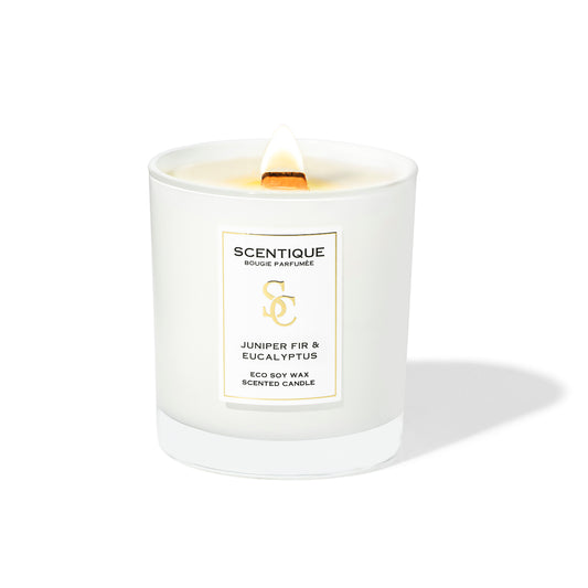 aromatni sveshti s darven fitil Maison Scentique JUNIPER FIR and Eucalyptus