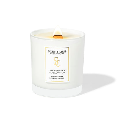 aromatni sveshti s darven fitil Maison Scentique JUNIPER FIR and Eucalyptus